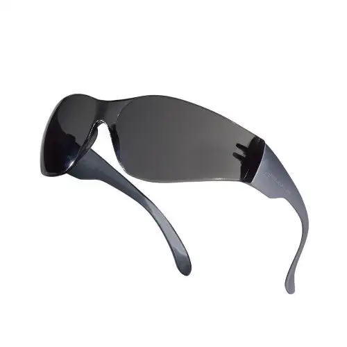 Delta Plus Brava 2 Safety Glasses